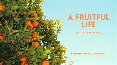 fruitful day meaning|FRUITFUL .